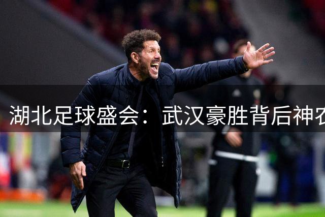 湖北足球盛会：武汉豪胜背后神农架精神感动全场