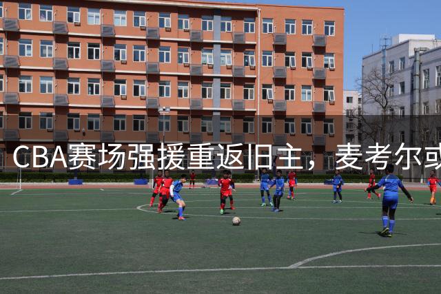 CBA赛场强援重返旧主，麦考尔或将重塑广州龙狮战术体系
